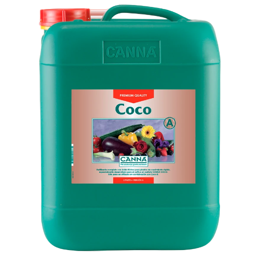 	Coco A