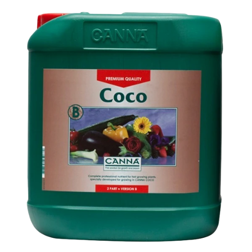 	Coco B 