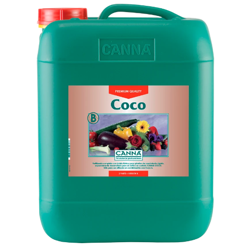 	Coco B 