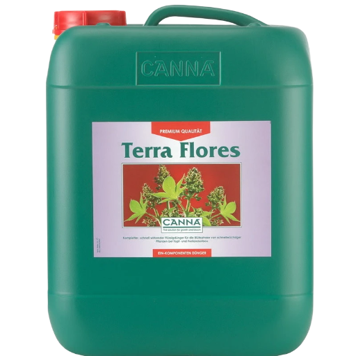 Terra Flores 