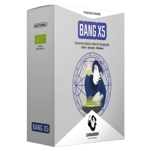 Bang 75 ML