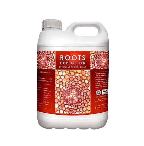 Roots Explosion. Kaya Solutions