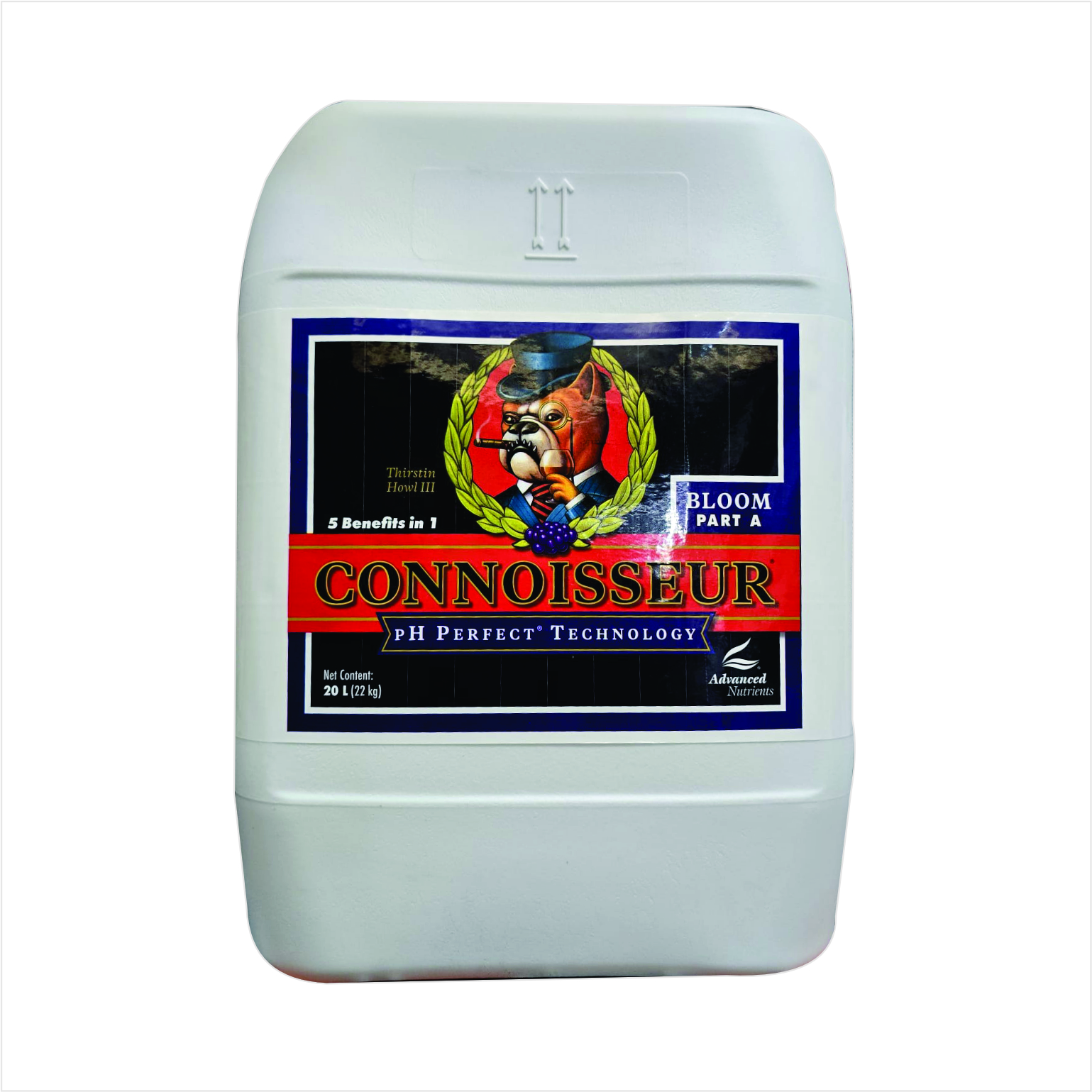 Connoisseur Bloom A 