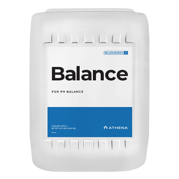 Balance 3.78 L 