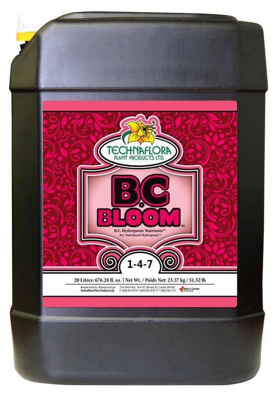 BC Bloom