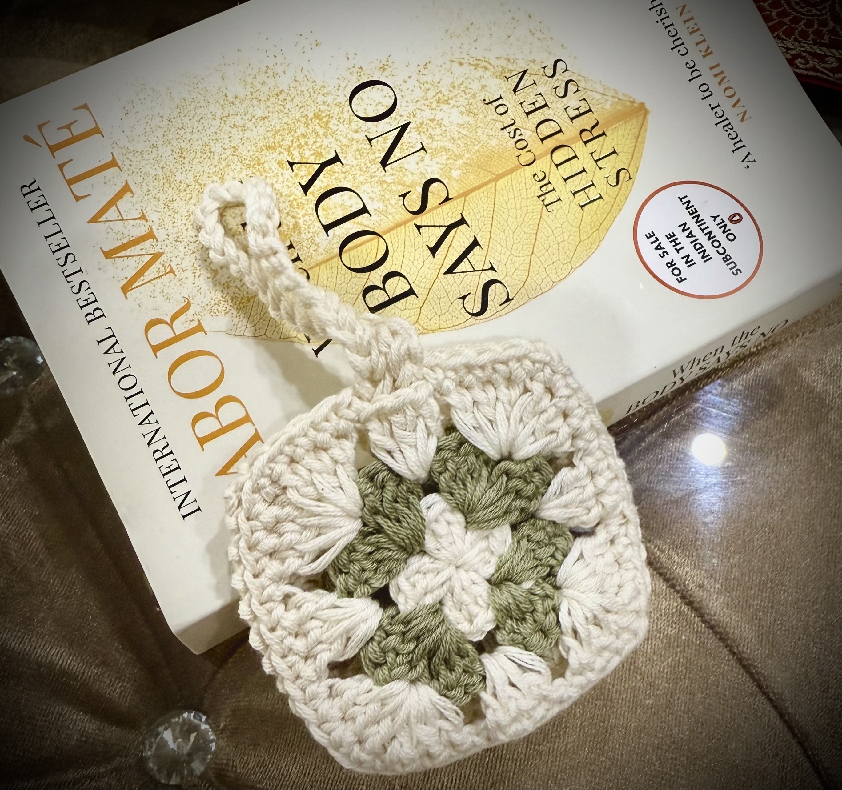 🎧 Leafy Pocket AirPods Cover