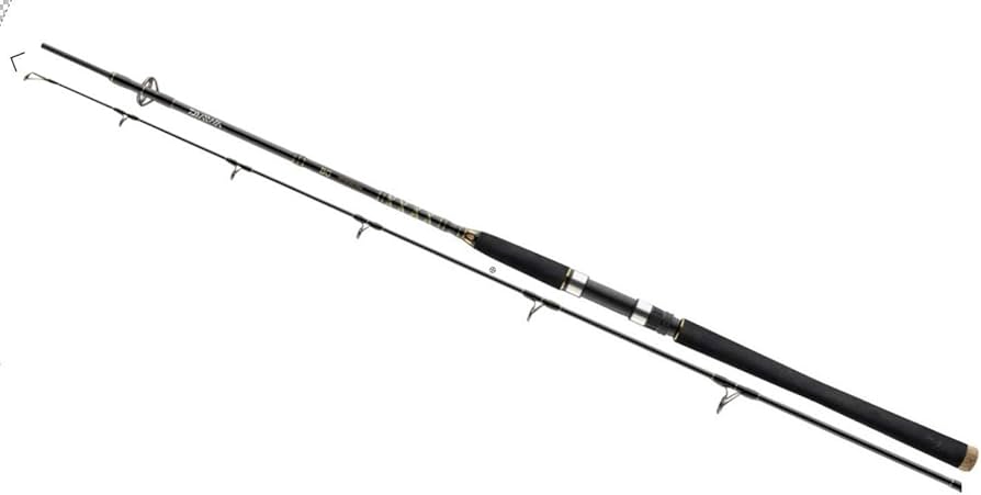 Daiwa Saltwater Offshore Casting Rod BG Popper 