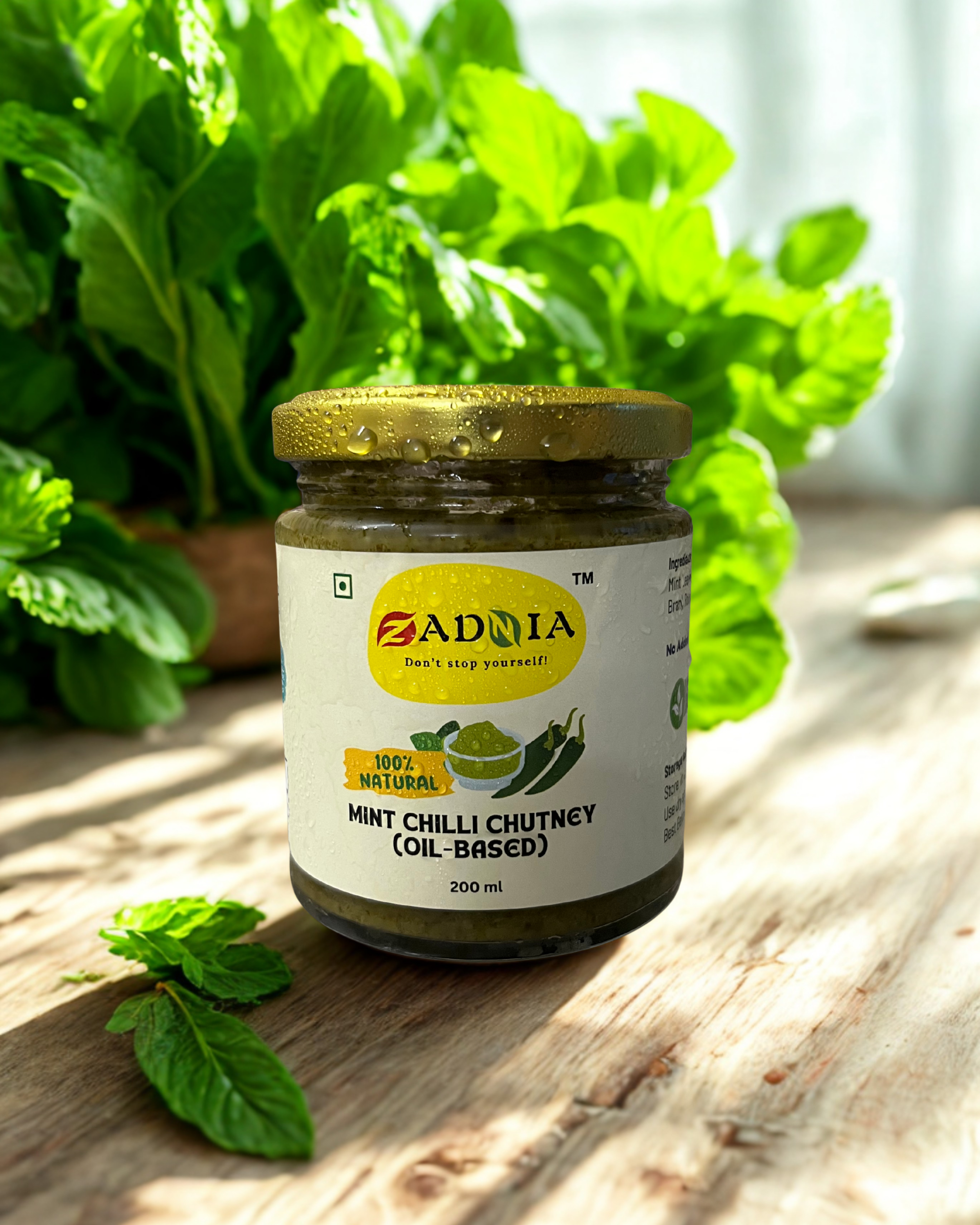 Mint Chilli Chutney (Oil-Based)