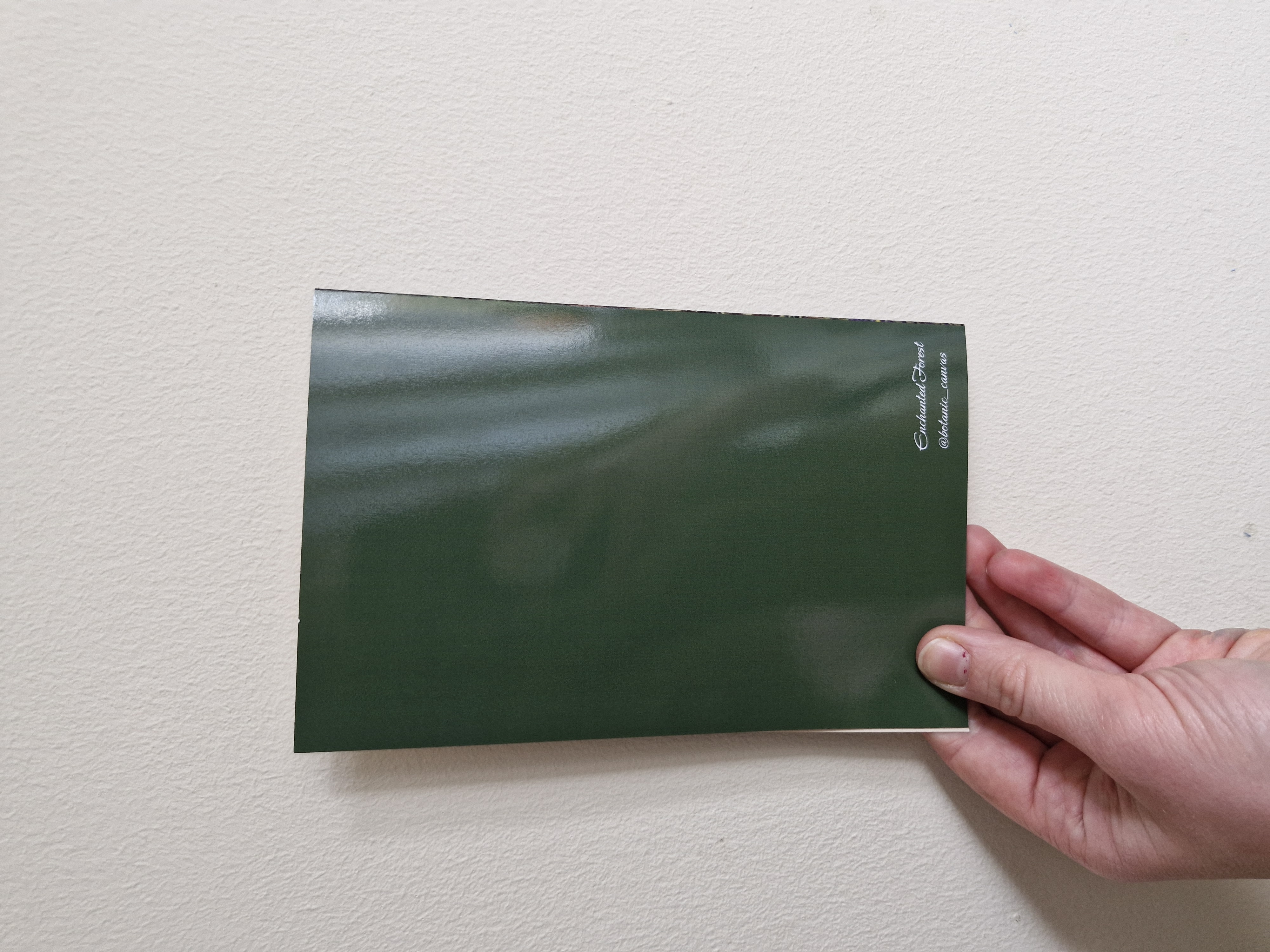 Enchanted Forest Christmas Card