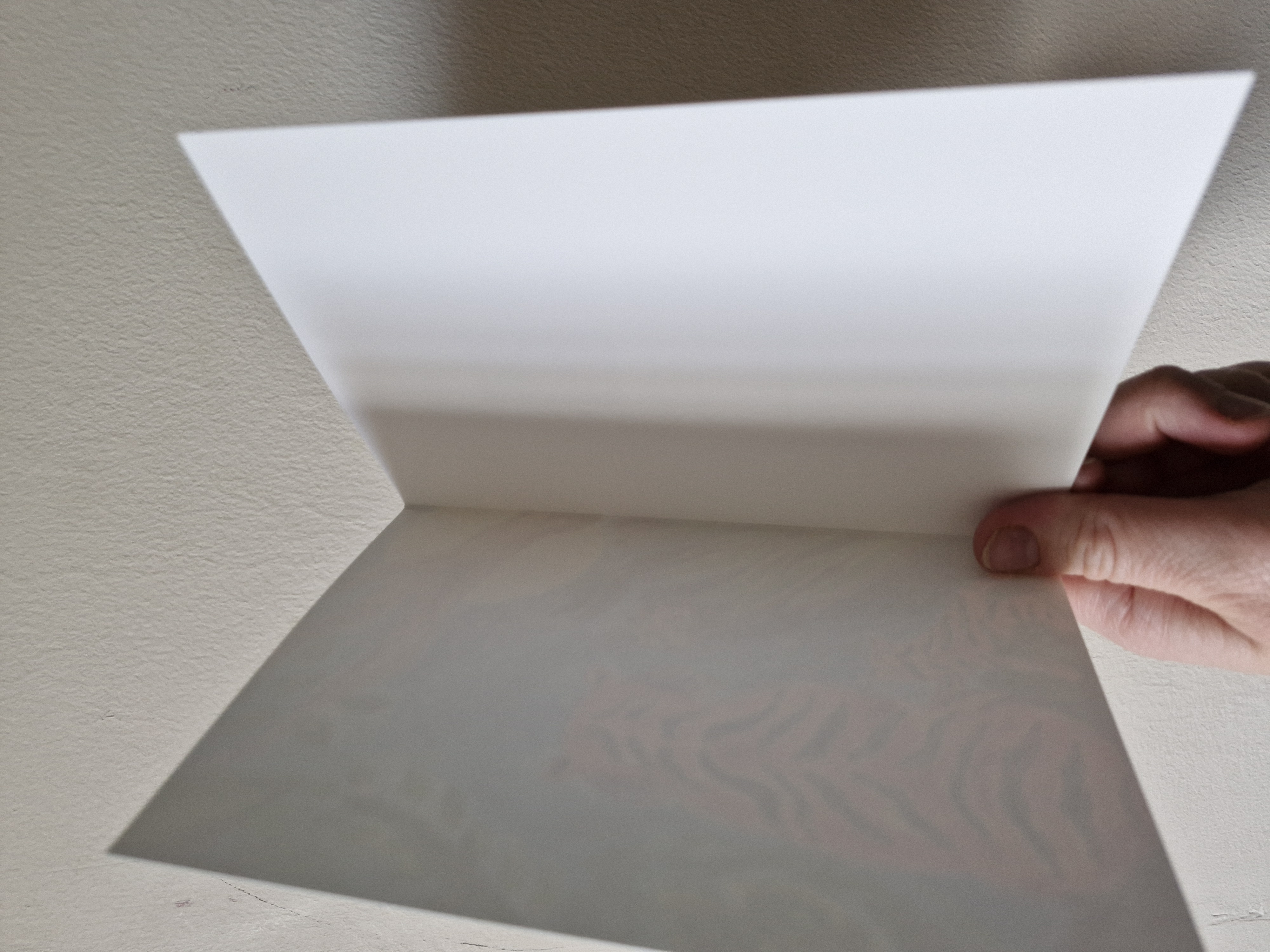 Water dragon greeting card