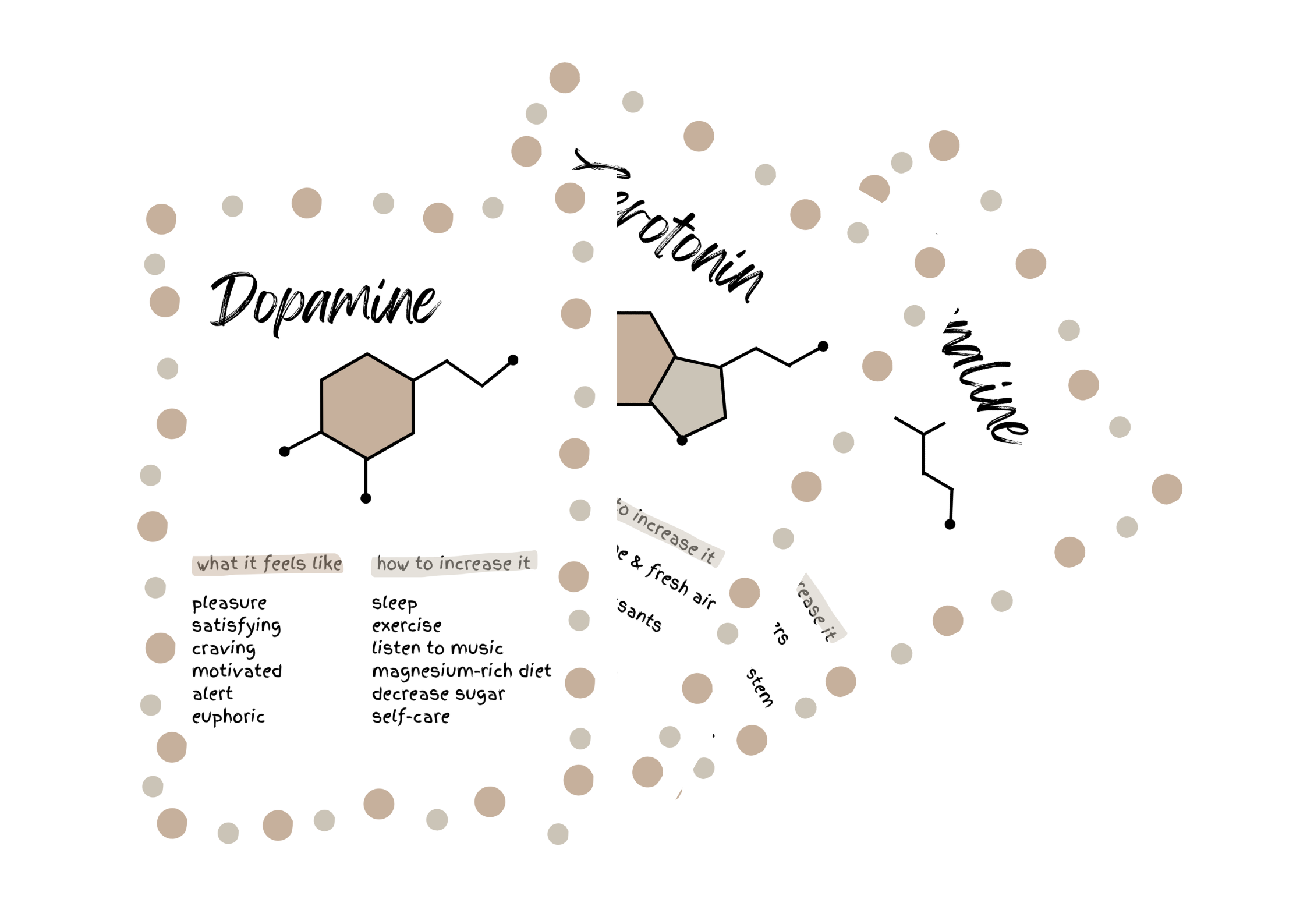 Neurochemical Poster Bundle Neutral