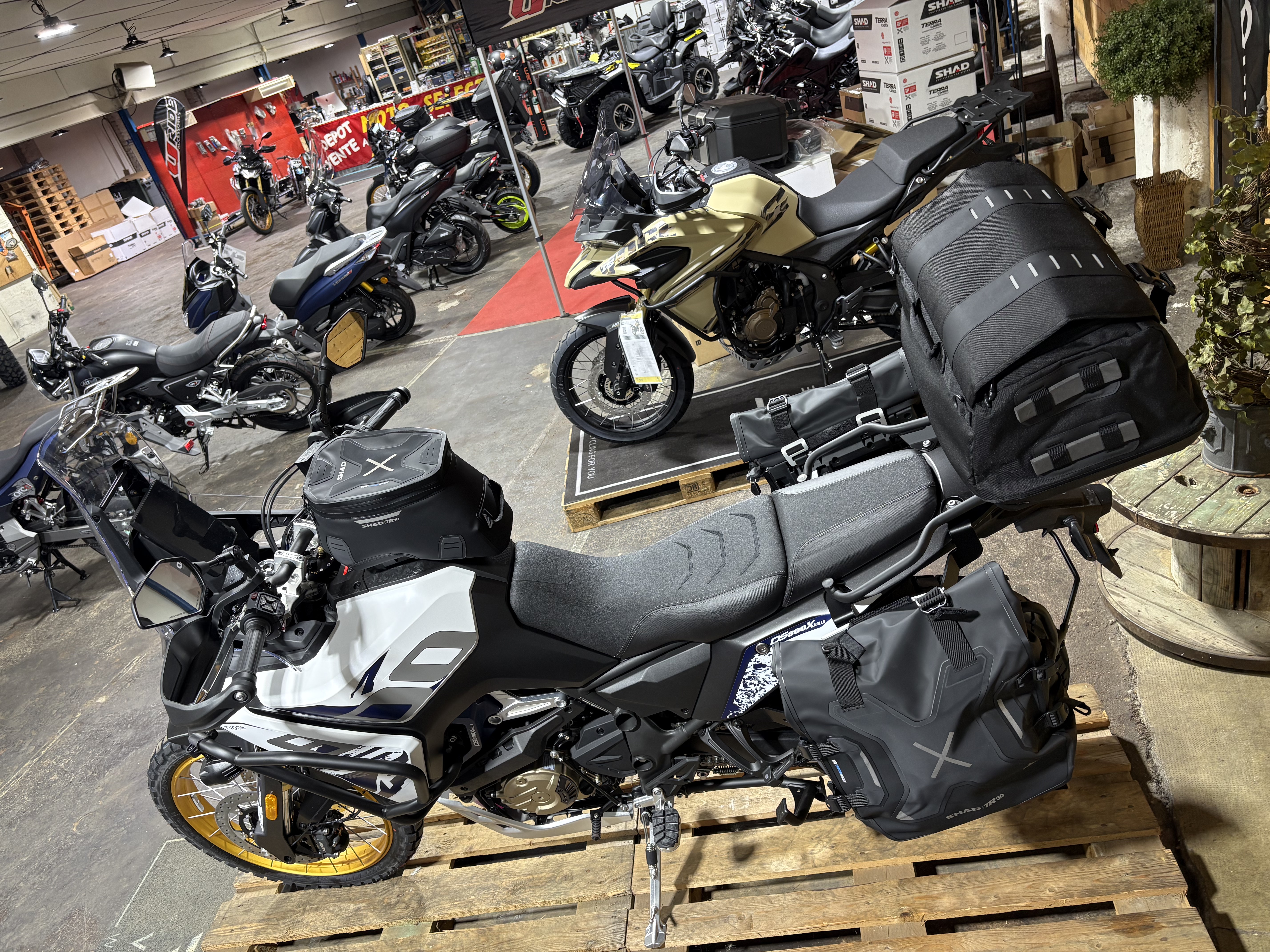 VOGE DSX 800 RALLY EQUIPE SHAD