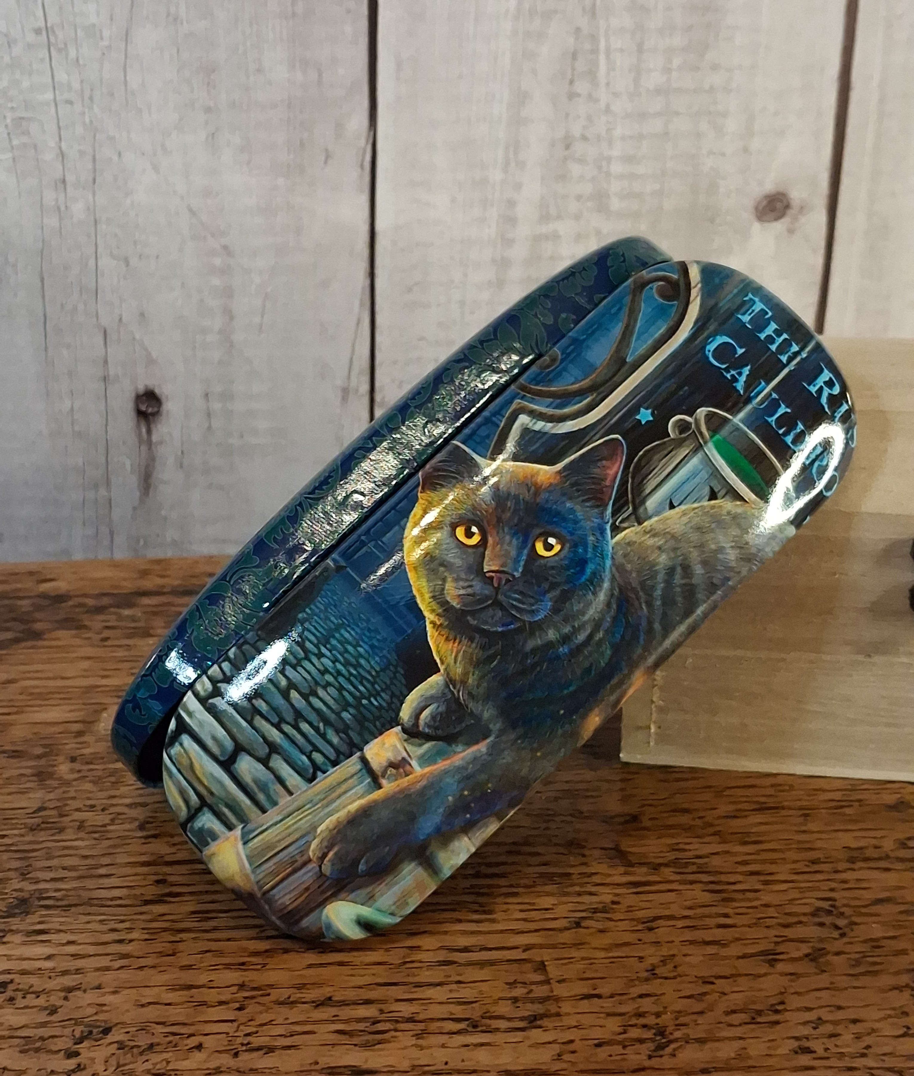 The Rusty Cauldron Glasses Case by Lisa parker