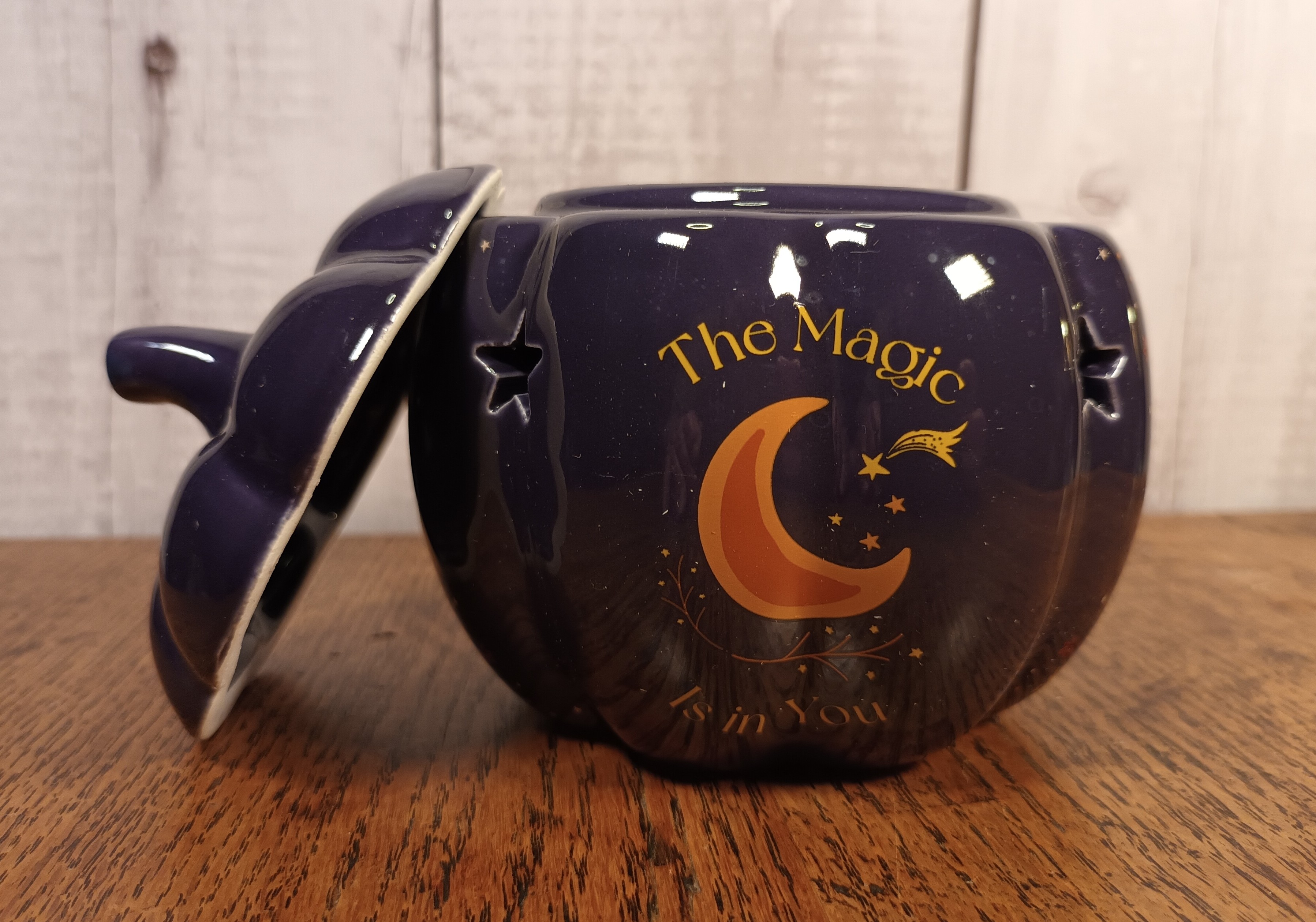 The Magic is in You Ceramic Gonk Oil Burner