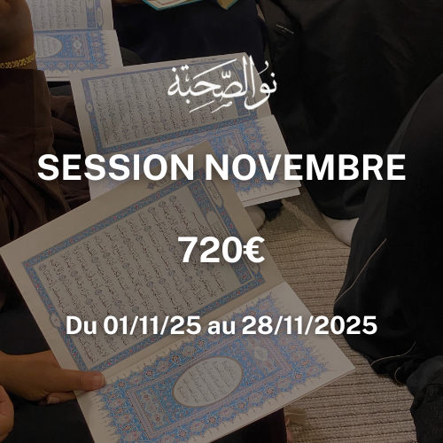 Session novembre