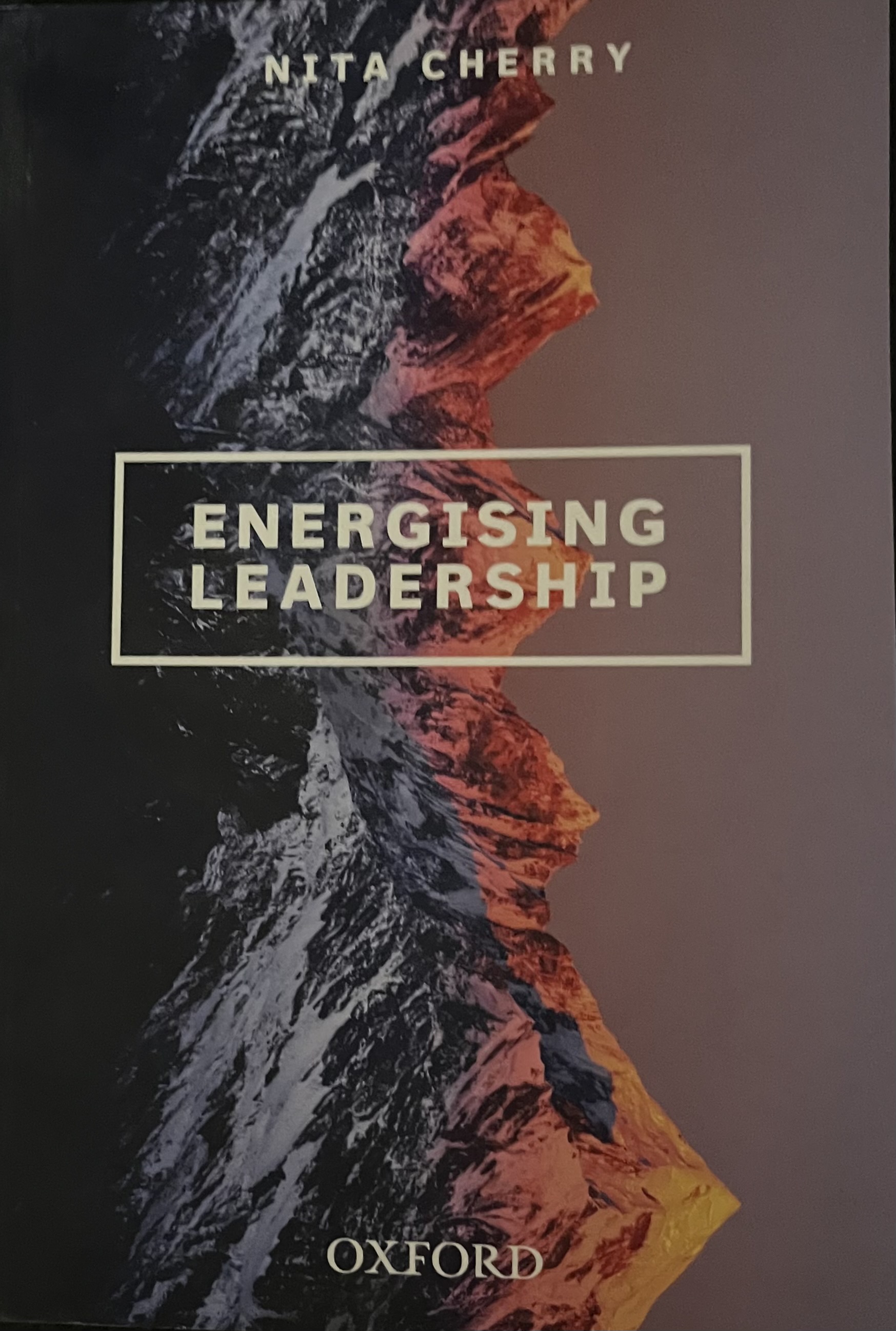 Energising Leadership