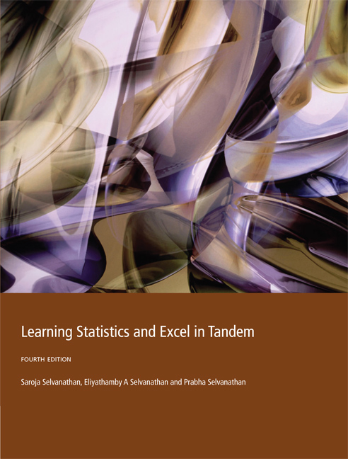 Learning Statistics and Excel in Tandem