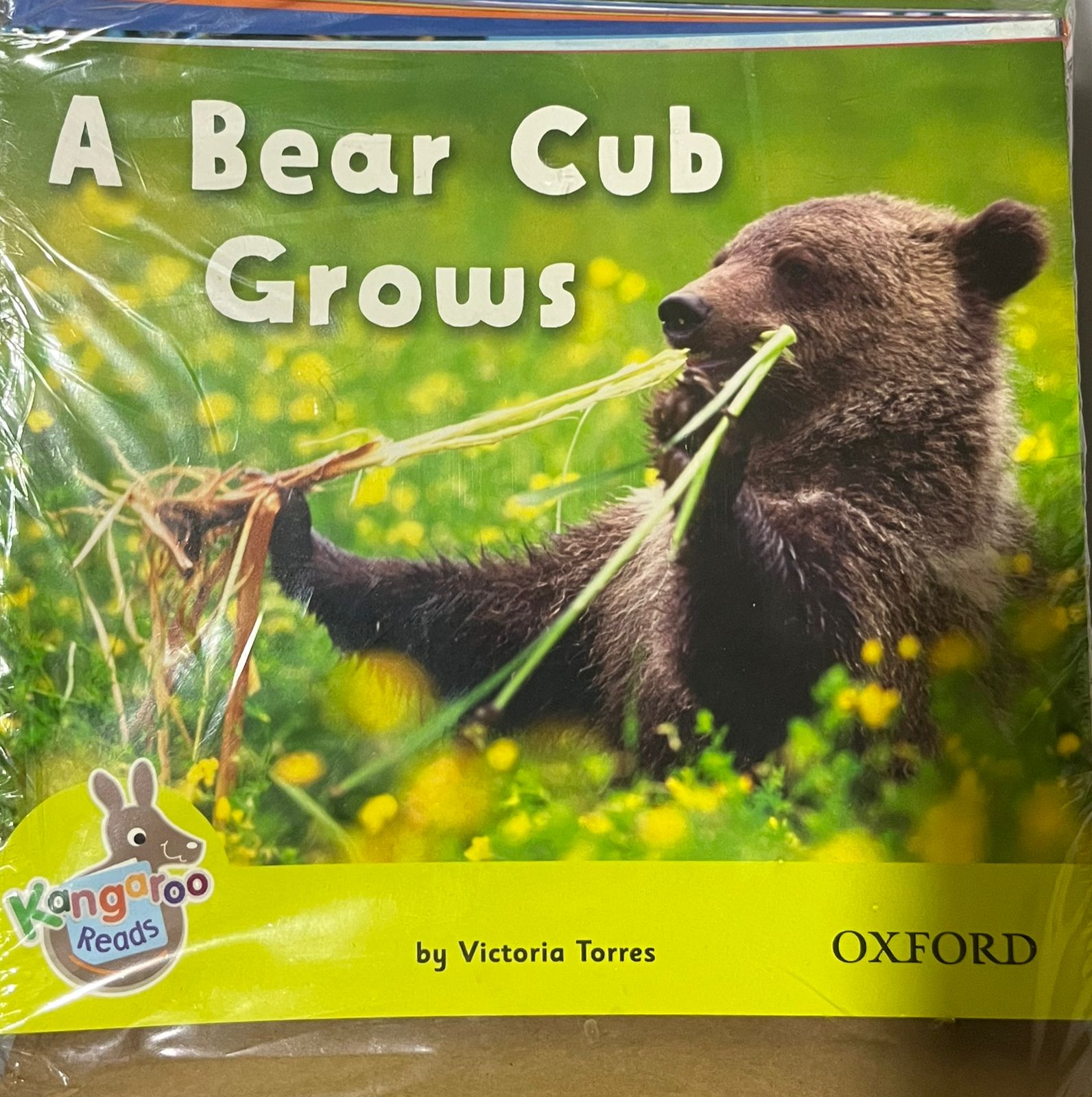 A Bear Cub Grows / Kangaroo Reads Oxford Series