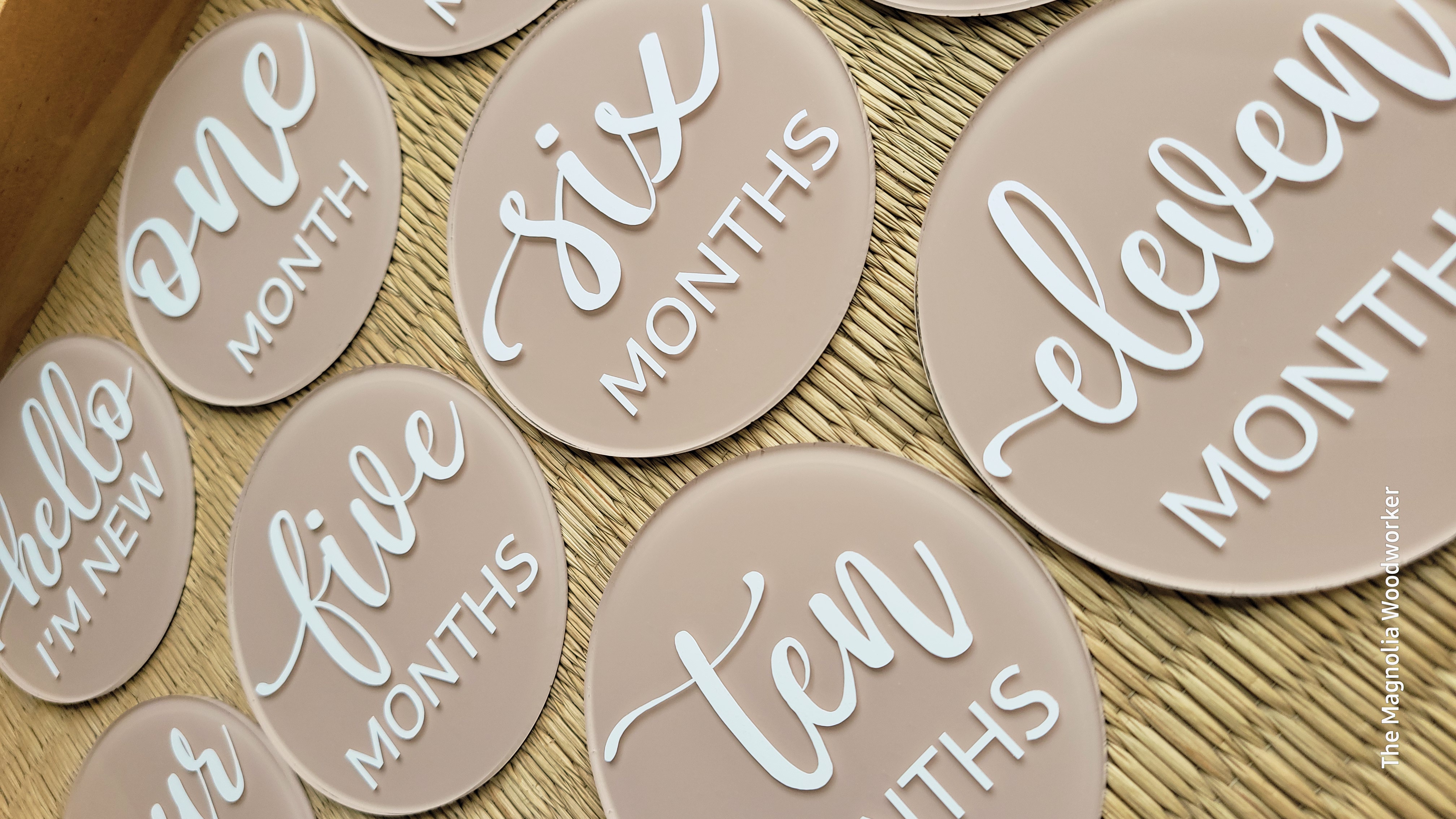 Baby Monthly Milestone Acrylic Discs