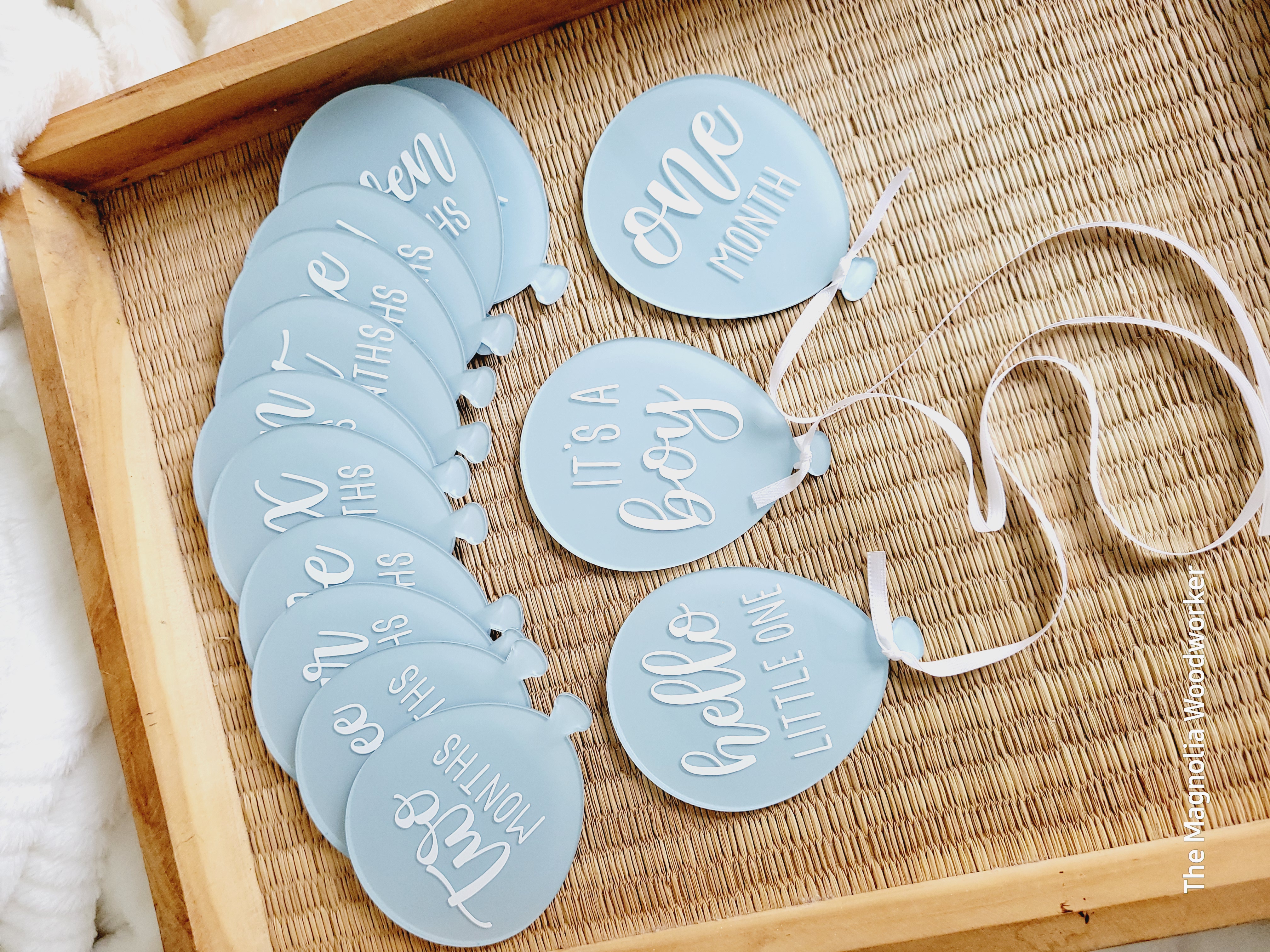 Balloon Baby Monthly Milestone Acrylic  Discs 