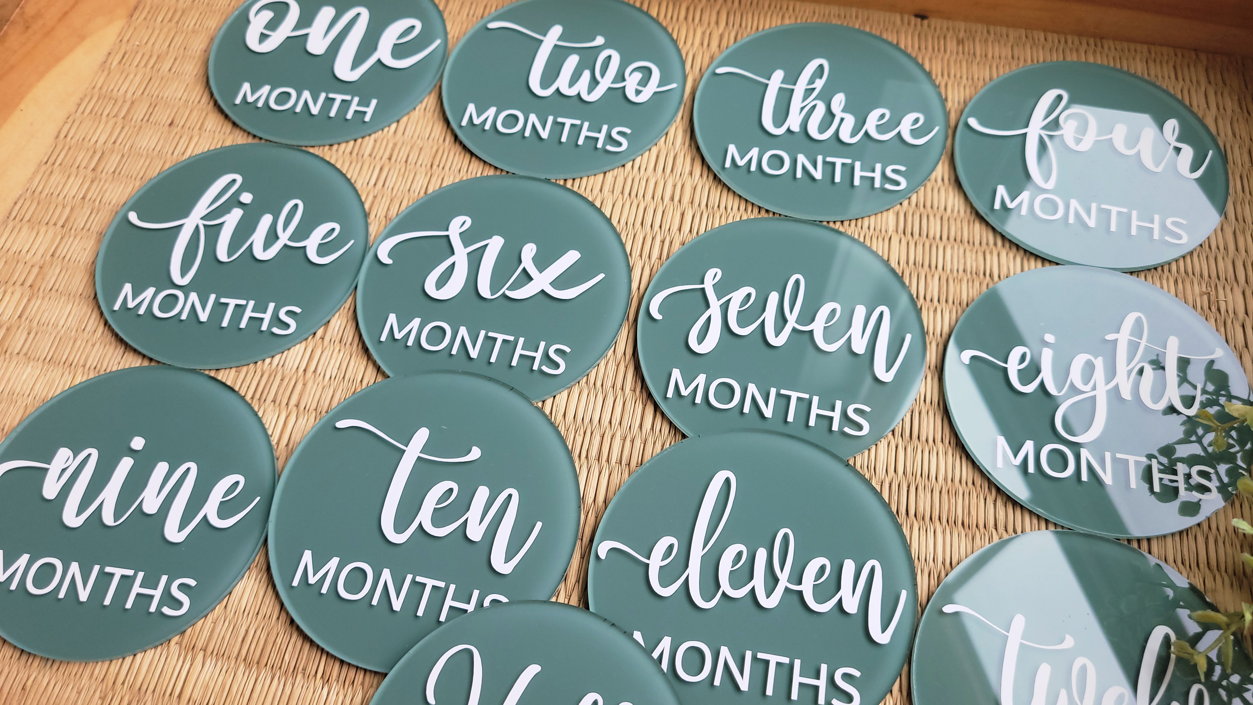 Baby Monthly Milestone Acrylic Discs - Rock River