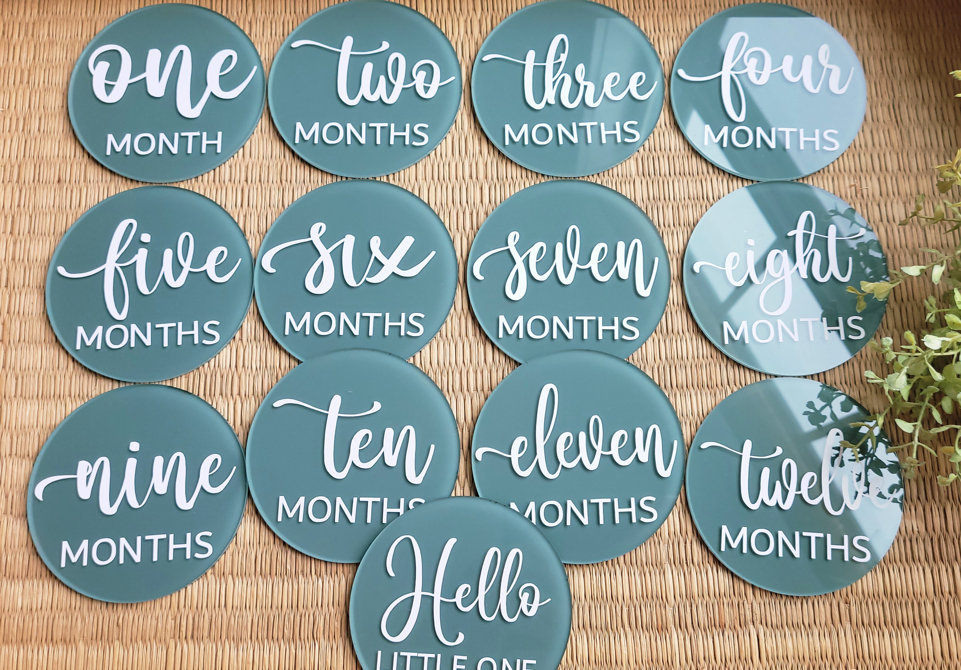 Baby Monthly Milestone Acrylic Discs - Rock River