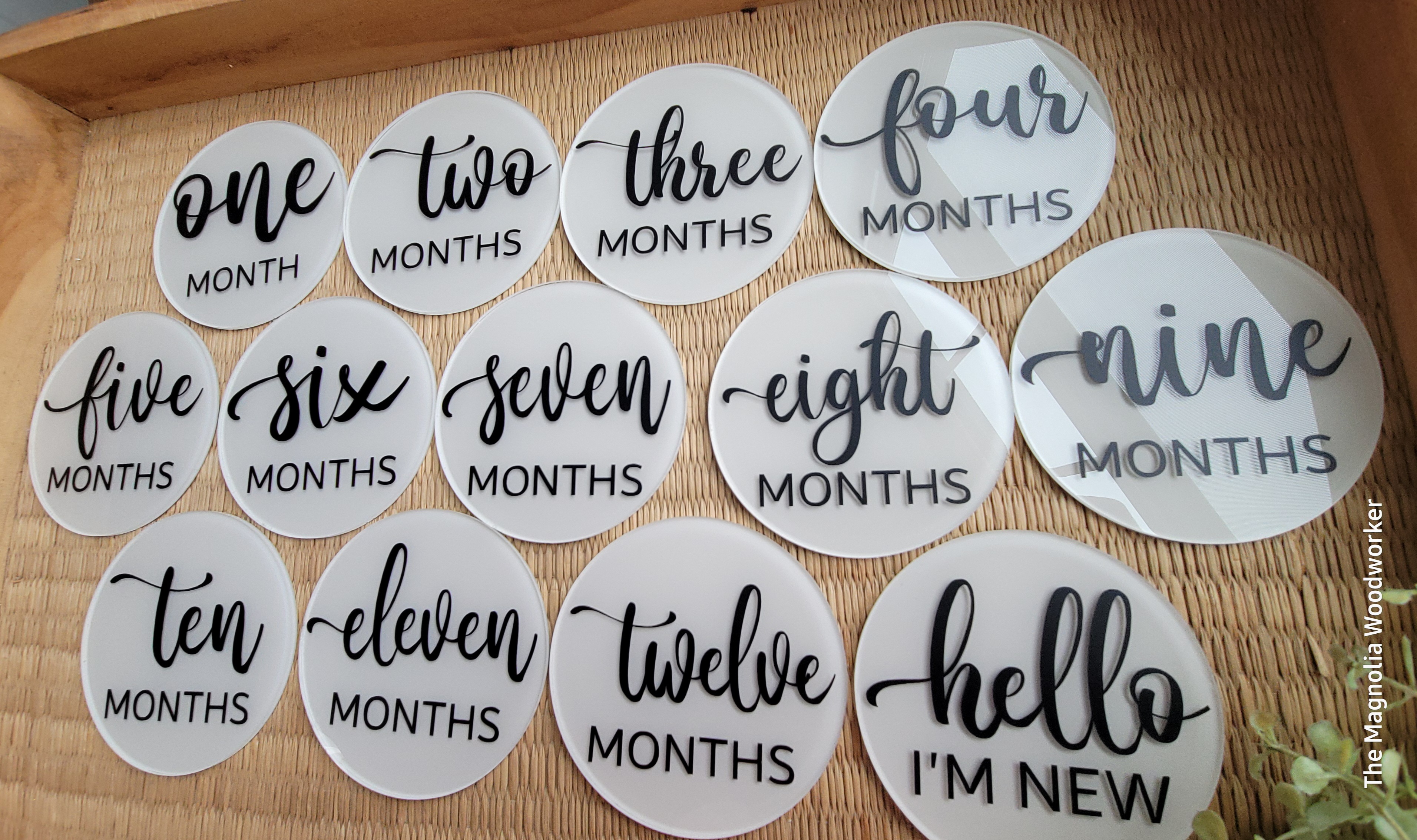 Baby Monthly Milestone Acrylic Discs