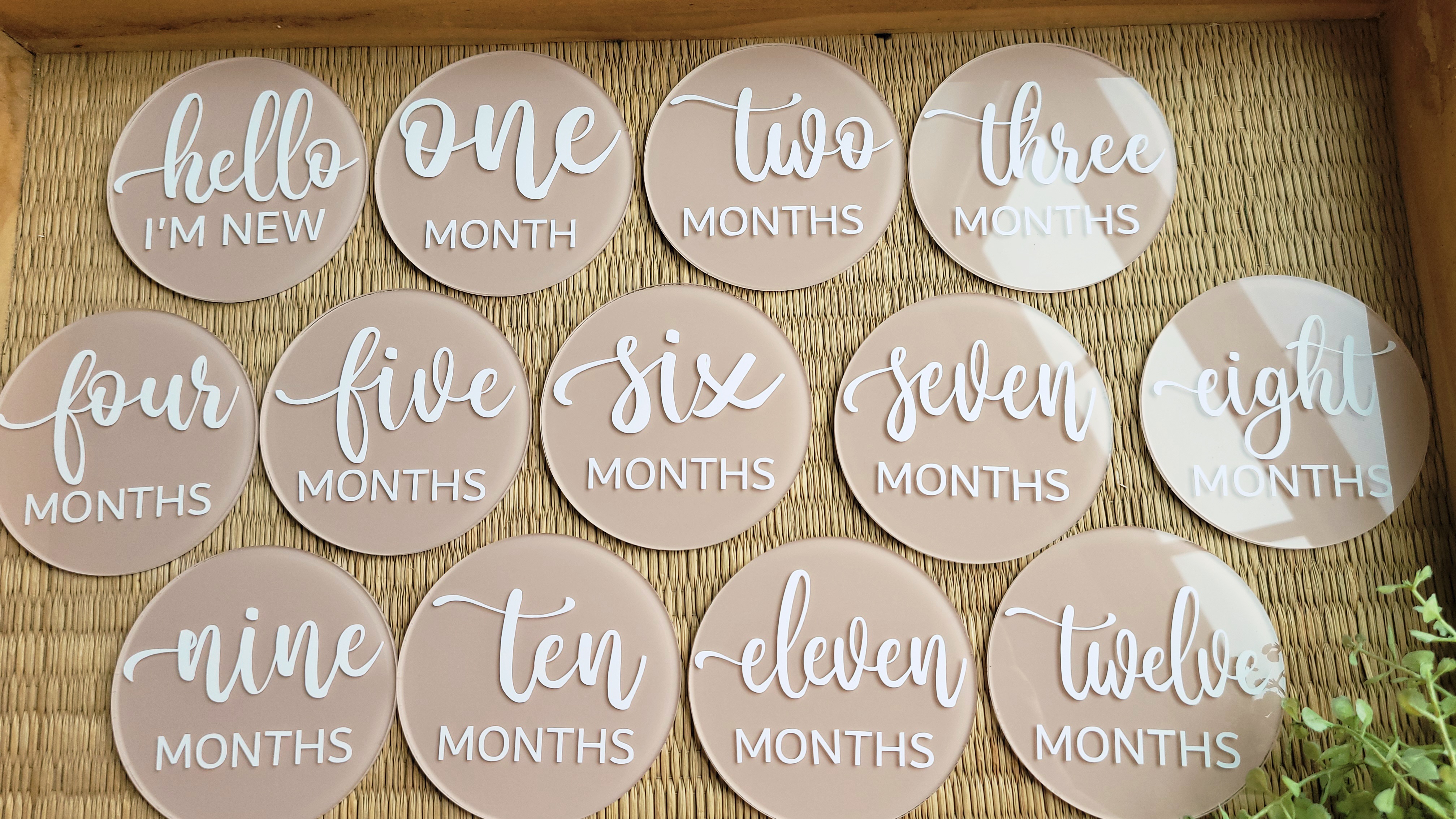 Baby Monthly Milestone Acrylic Discs