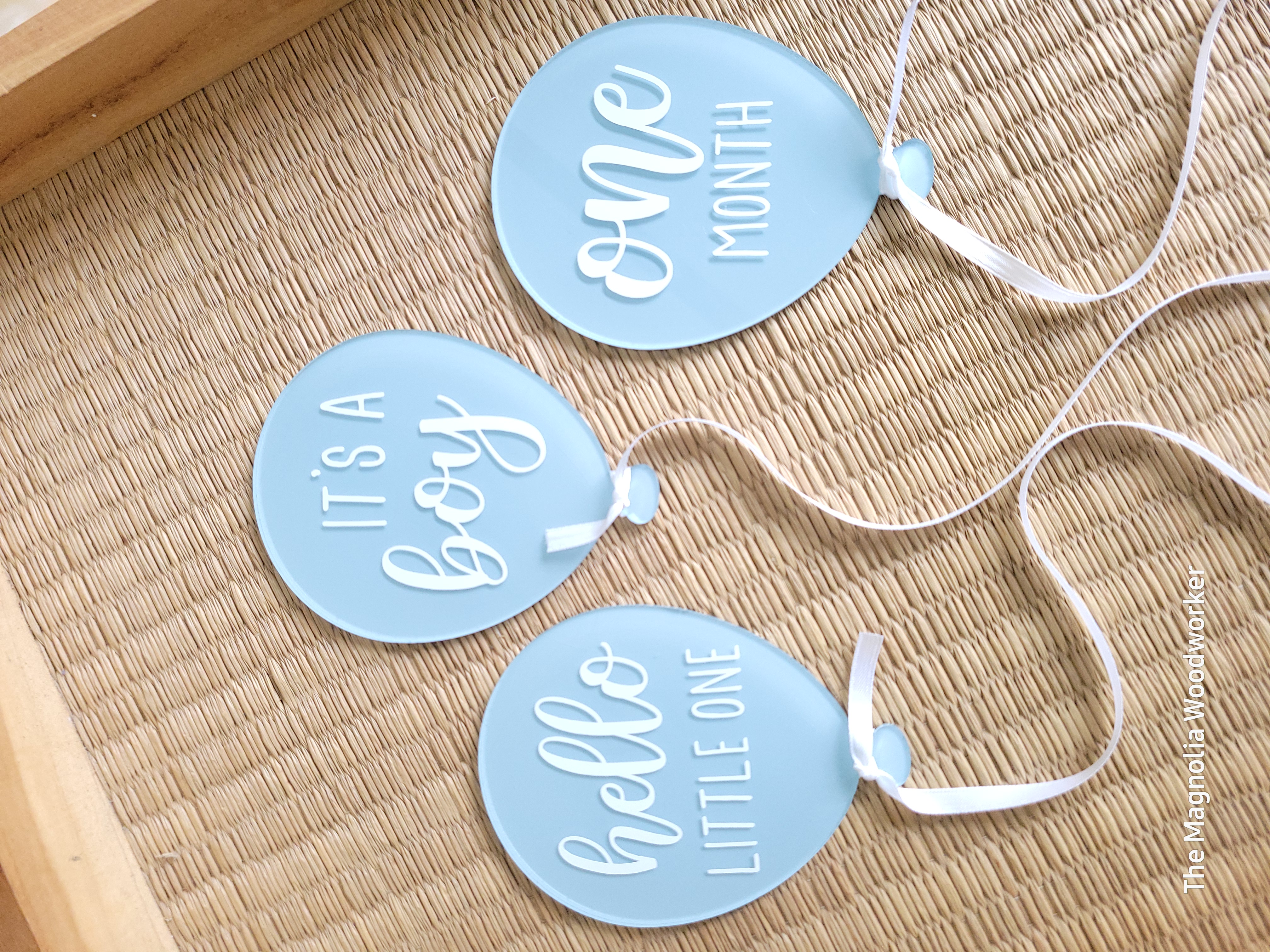 Balloon Baby Monthly Milestone Acrylic  Discs 