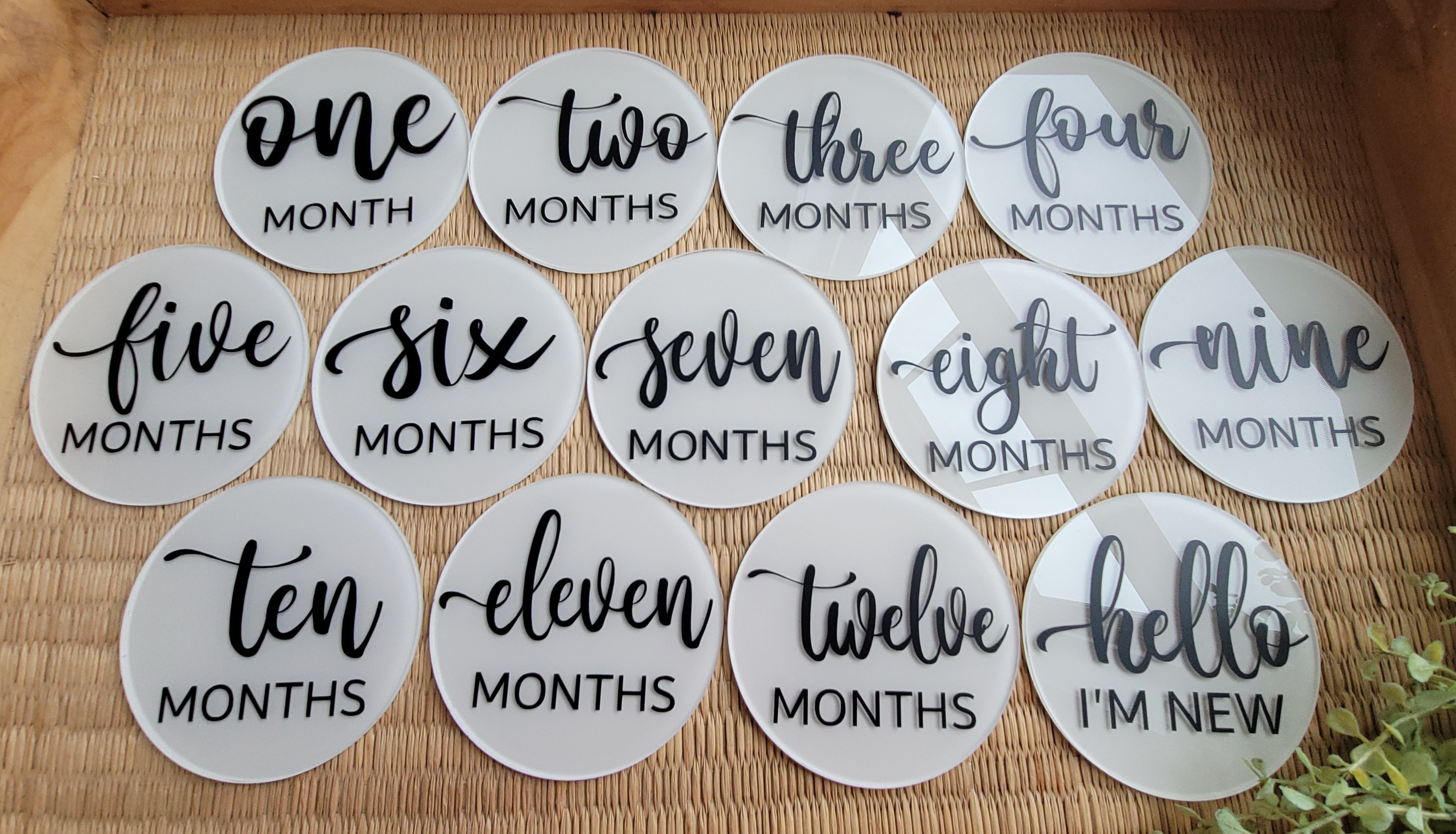 Baby Monthly Milestone Acrylic Discs