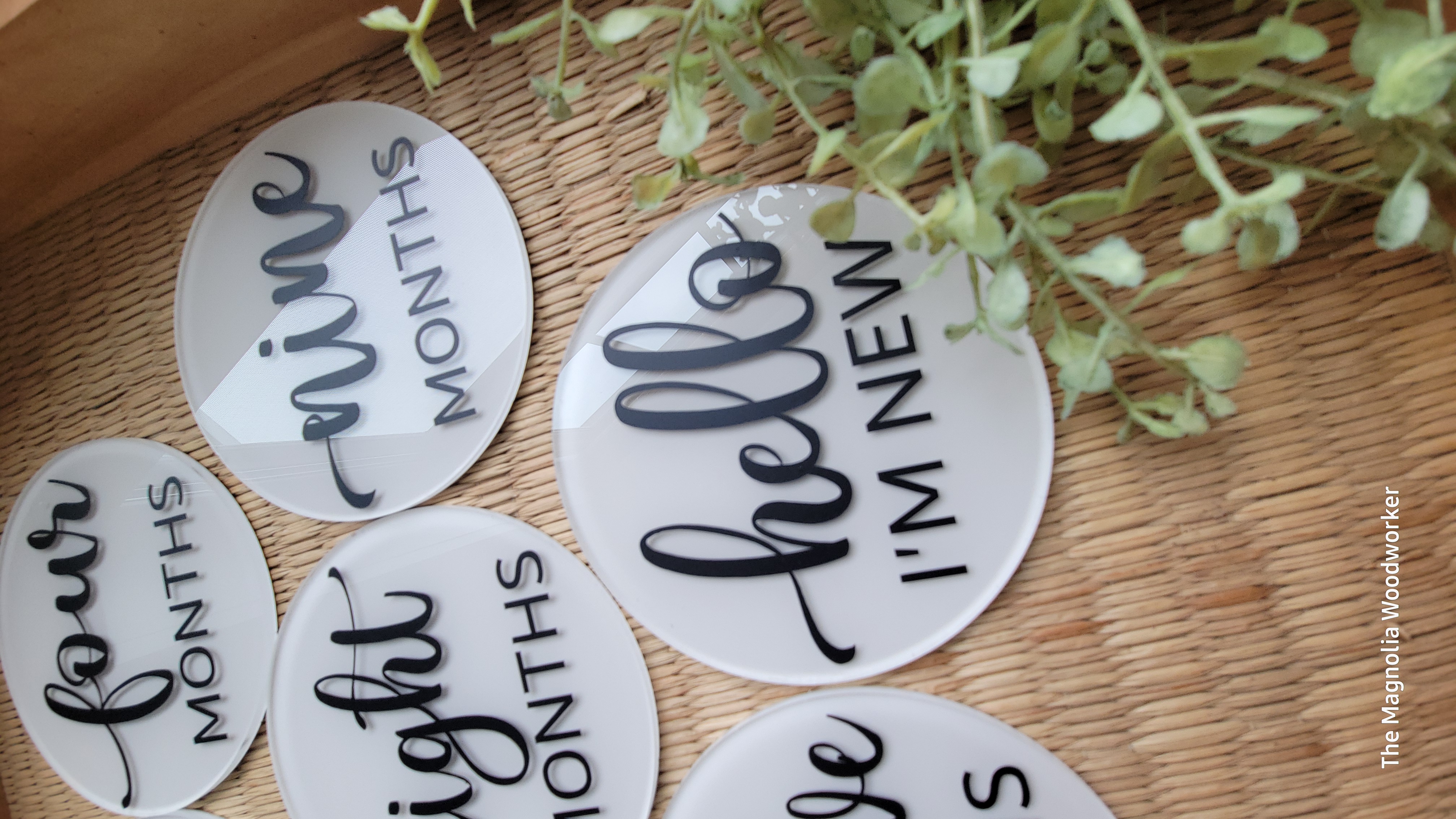 Baby Monthly Milestone Acrylic Discs