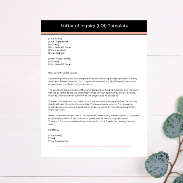 Grant Writing Templates Bundle | Instant Download | Fully Customizable GOOGLE Docs & CANVA