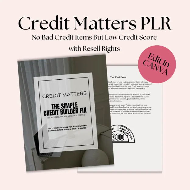 PLR DIY Credit Repair,Business Credit, PLR Credit Matters Guide, Build Your Credit Guide,Digital Products,Financial Literacy,Fix Your Credit