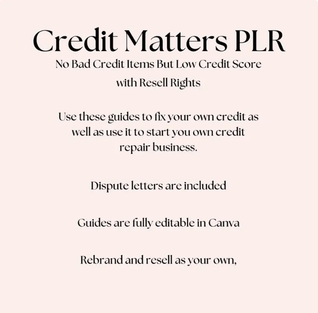 PLR DIY Credit Repair,Business Credit, PLR Credit Matters Guide, Build Your Credit Guide,Digital Products,Financial Literacy,Fix Your Credit