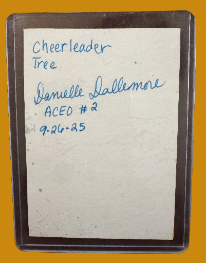 Cheerleader Tree ACEO #2