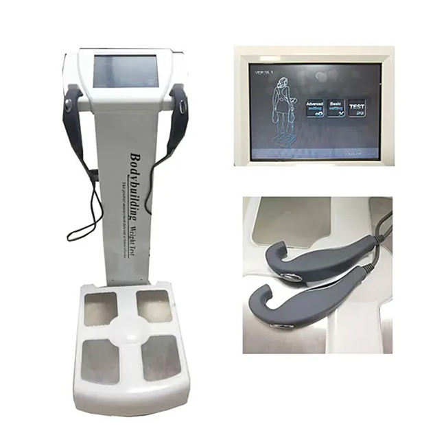 Professional Salon Body Fat Analyzer