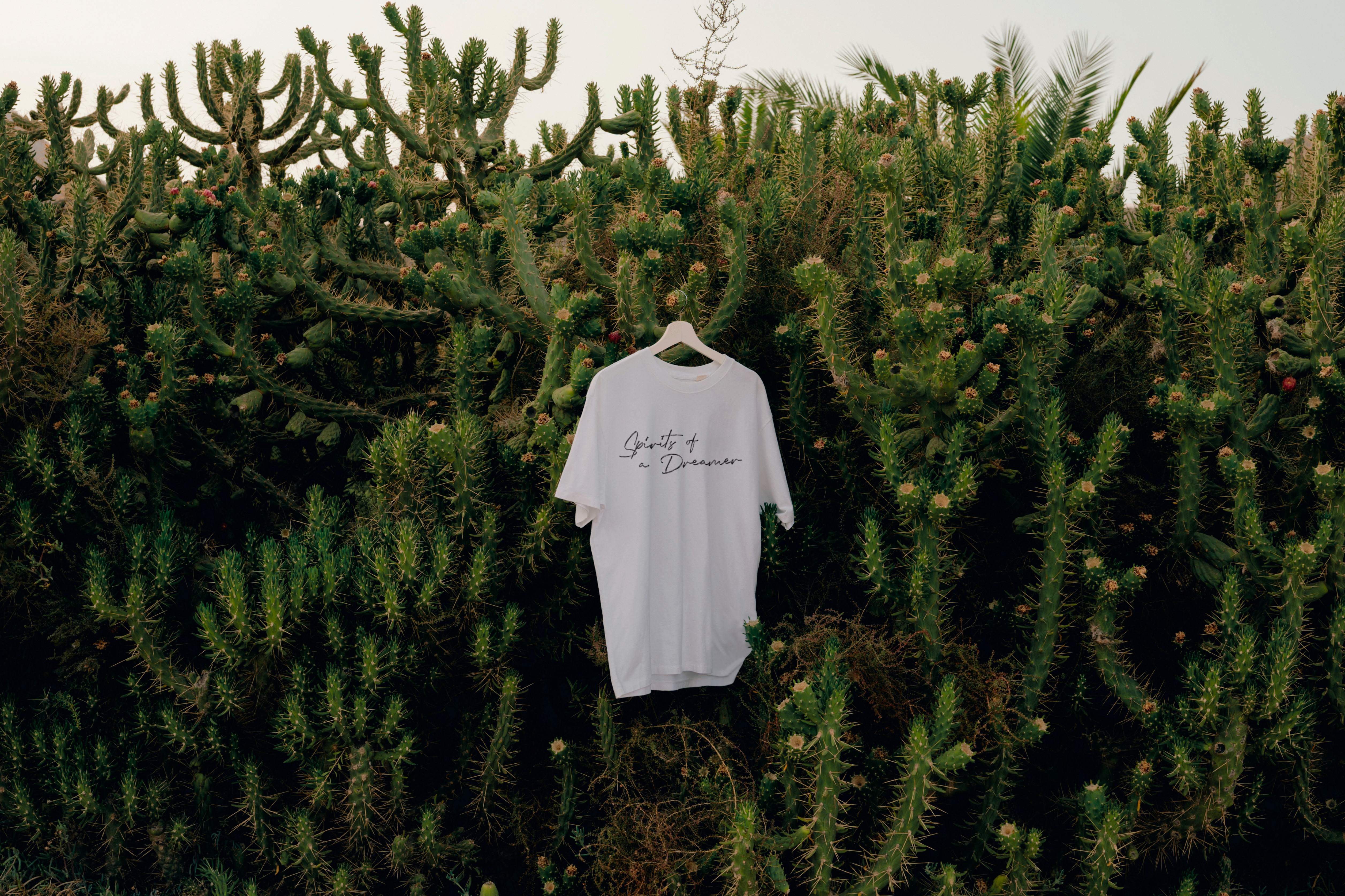 Spirits of Dreamer Oversized T-shirt
