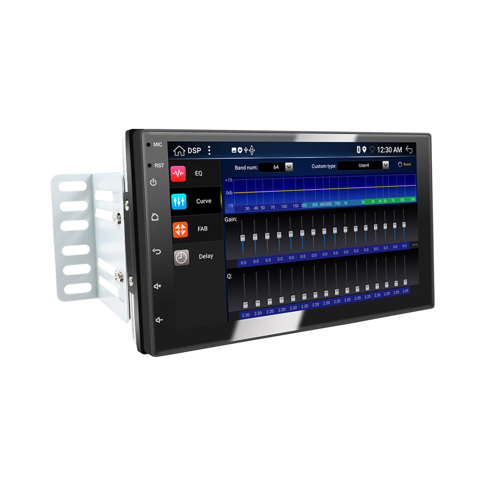 Car Multimedia Player D110
