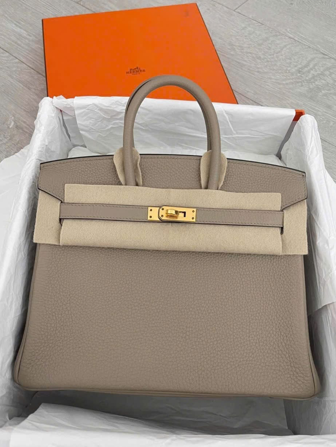 Hermes Gris Tourterelle Togo Leather Birkin 25 Handbag
