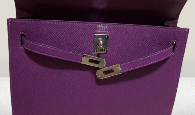 Hermes Anemone Leather Kelly 25 Bag