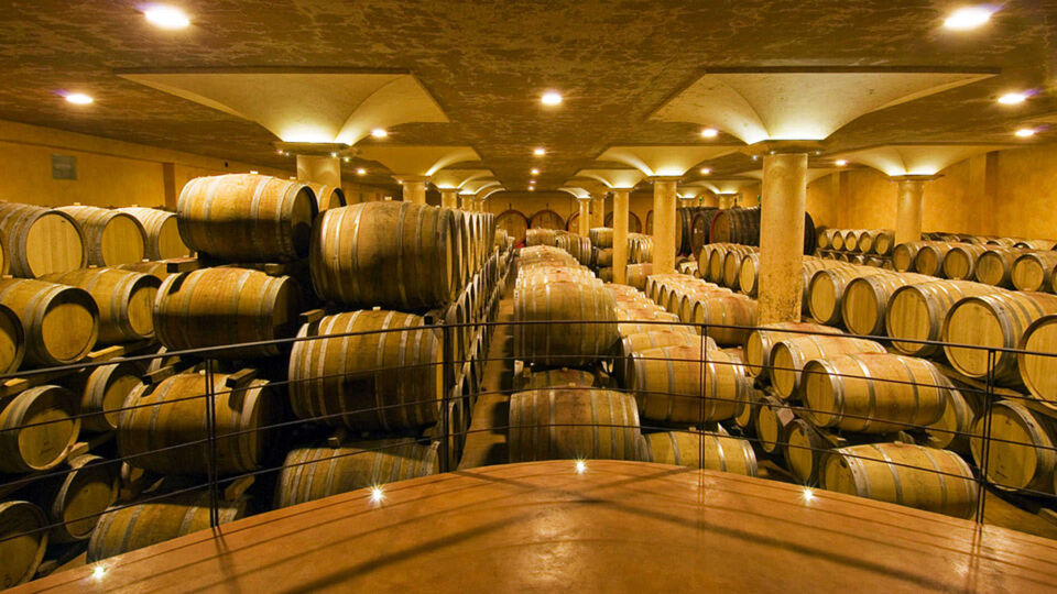 wine tasting of four "100 pts. Wine Spectator’s TOP 100 #1