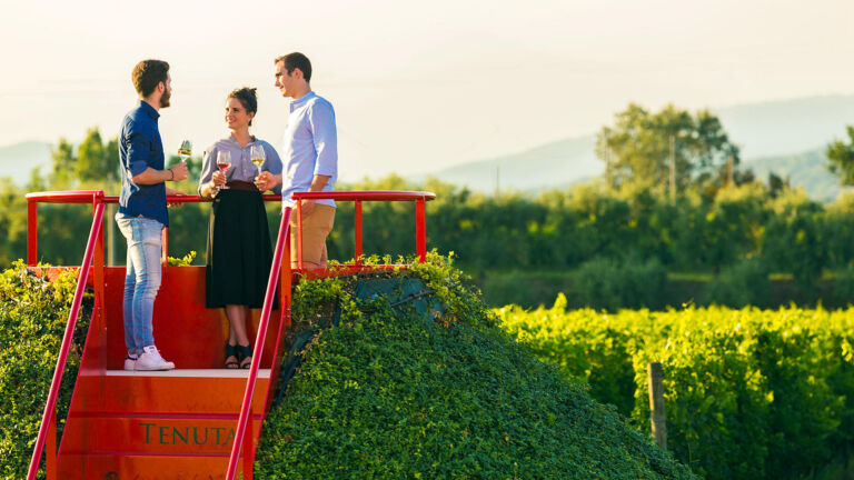 tasting wines from Dante Alighieri’s son estate on the shores of Lake Garda