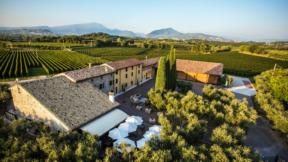 tasting wines from Dante Alighieri’s son estate on the shores of Lake Garda