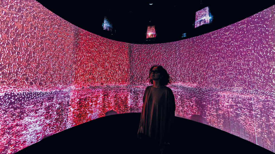 tasting wines from Dante Alighieri’s son estate on the shores of Lake Garda