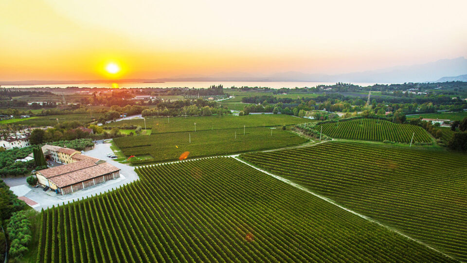 tasting wines from Dante Alighieri’s son estate on the shores of Lake Garda