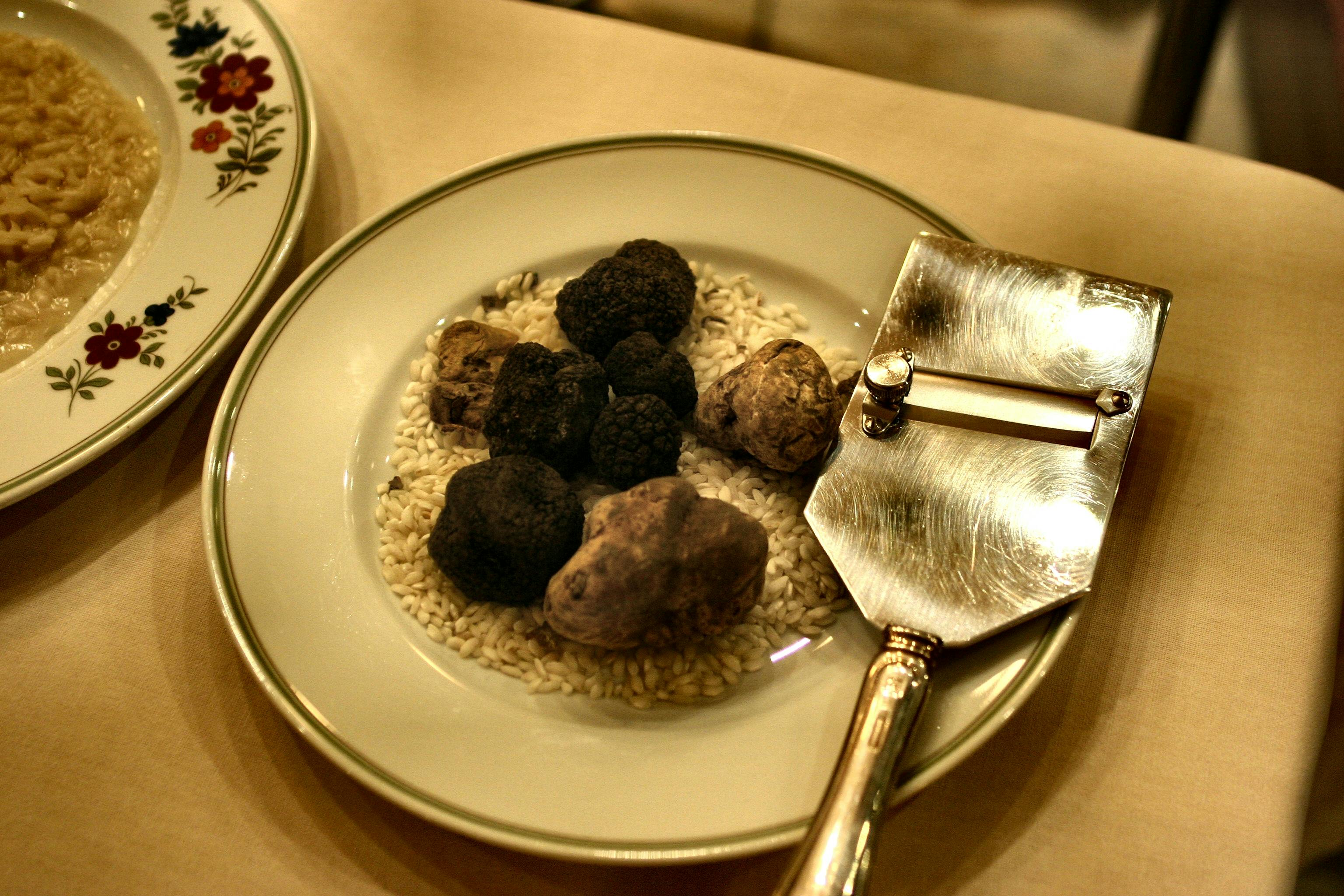 Gourmet Adventure in the Heart of the Woods - Tuscan Truffle Hunt