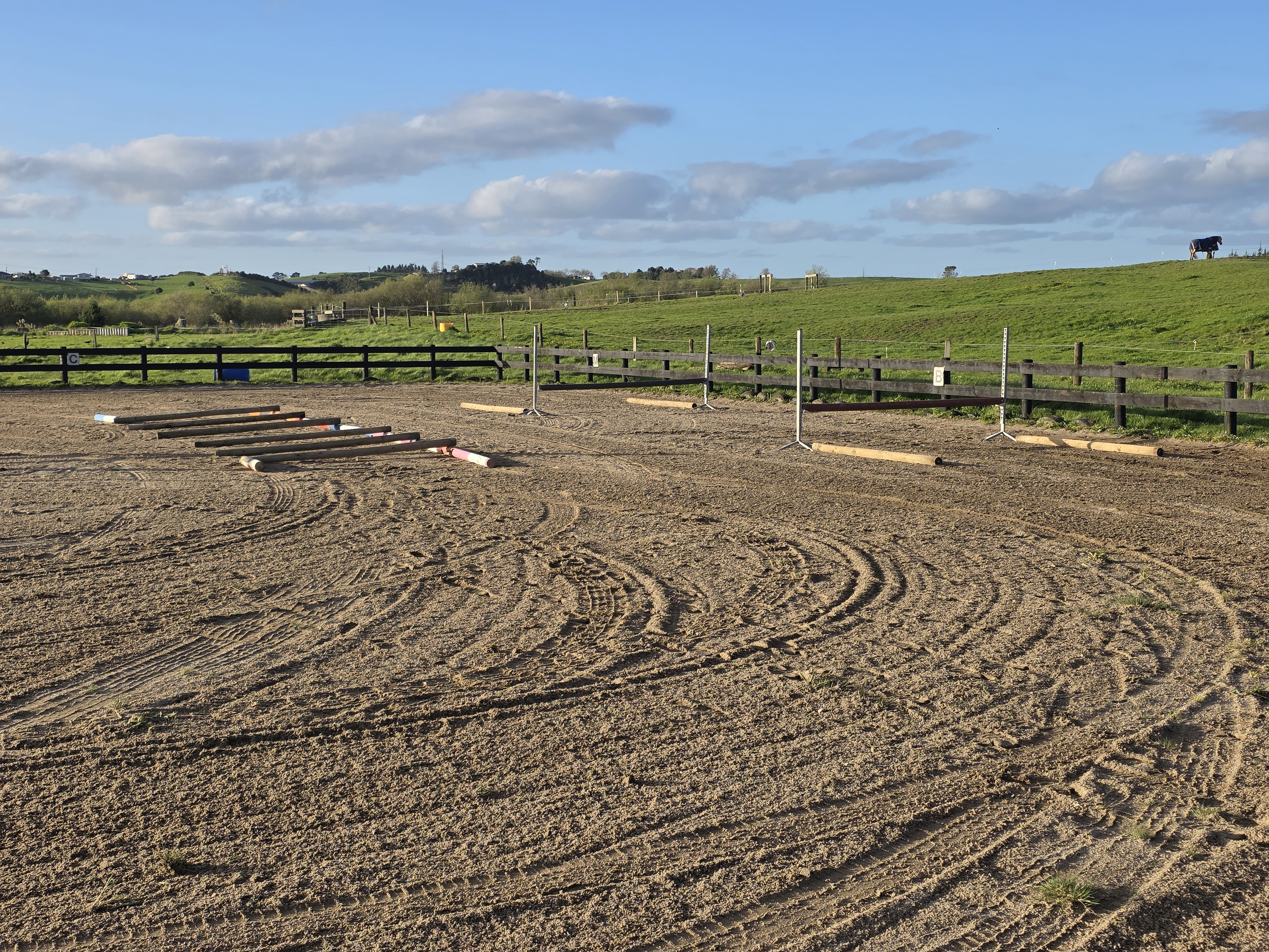 Grounds Booking - Two horses per hour - shared use