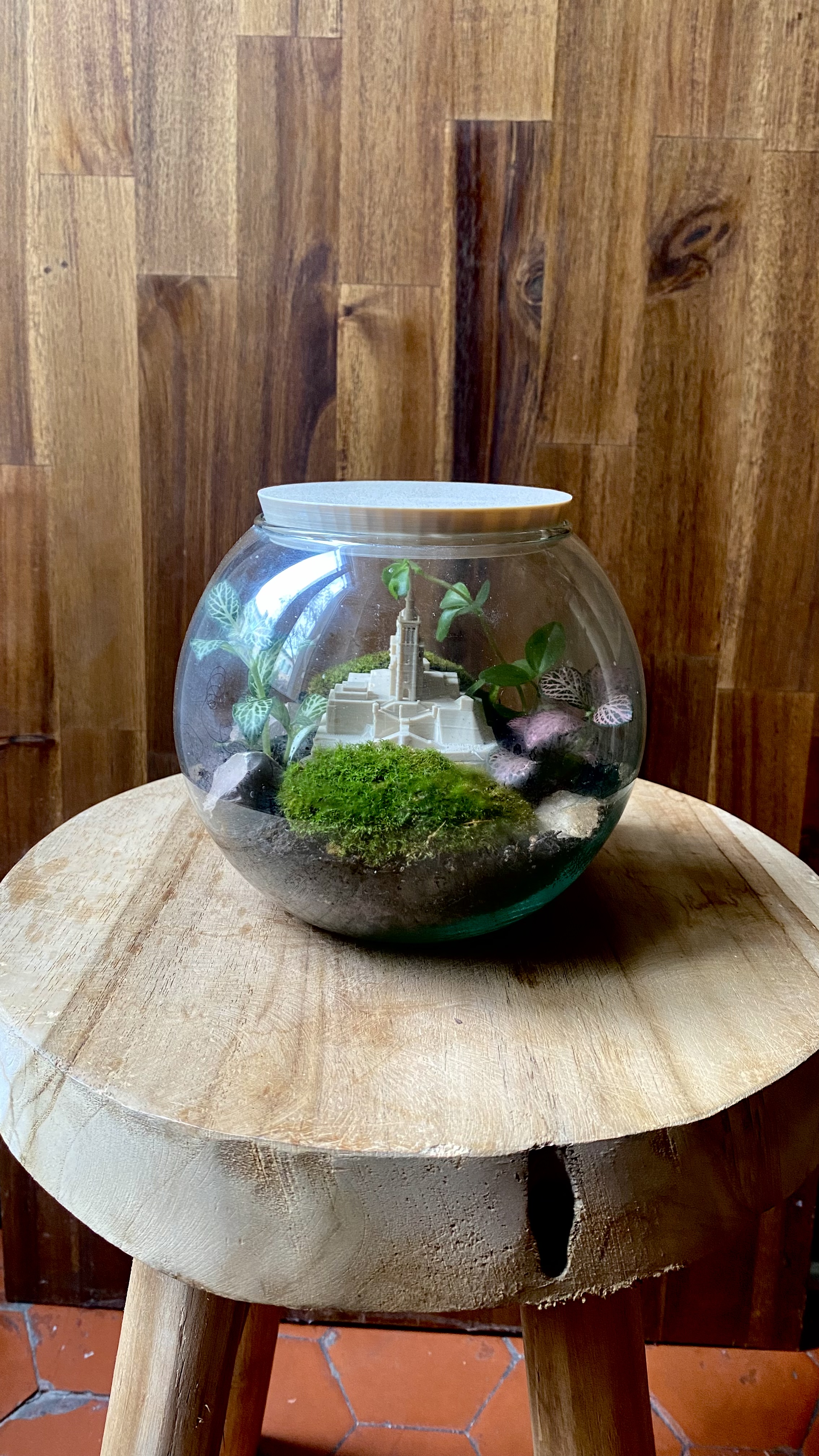 Terrarium Notre Dame de la Garde