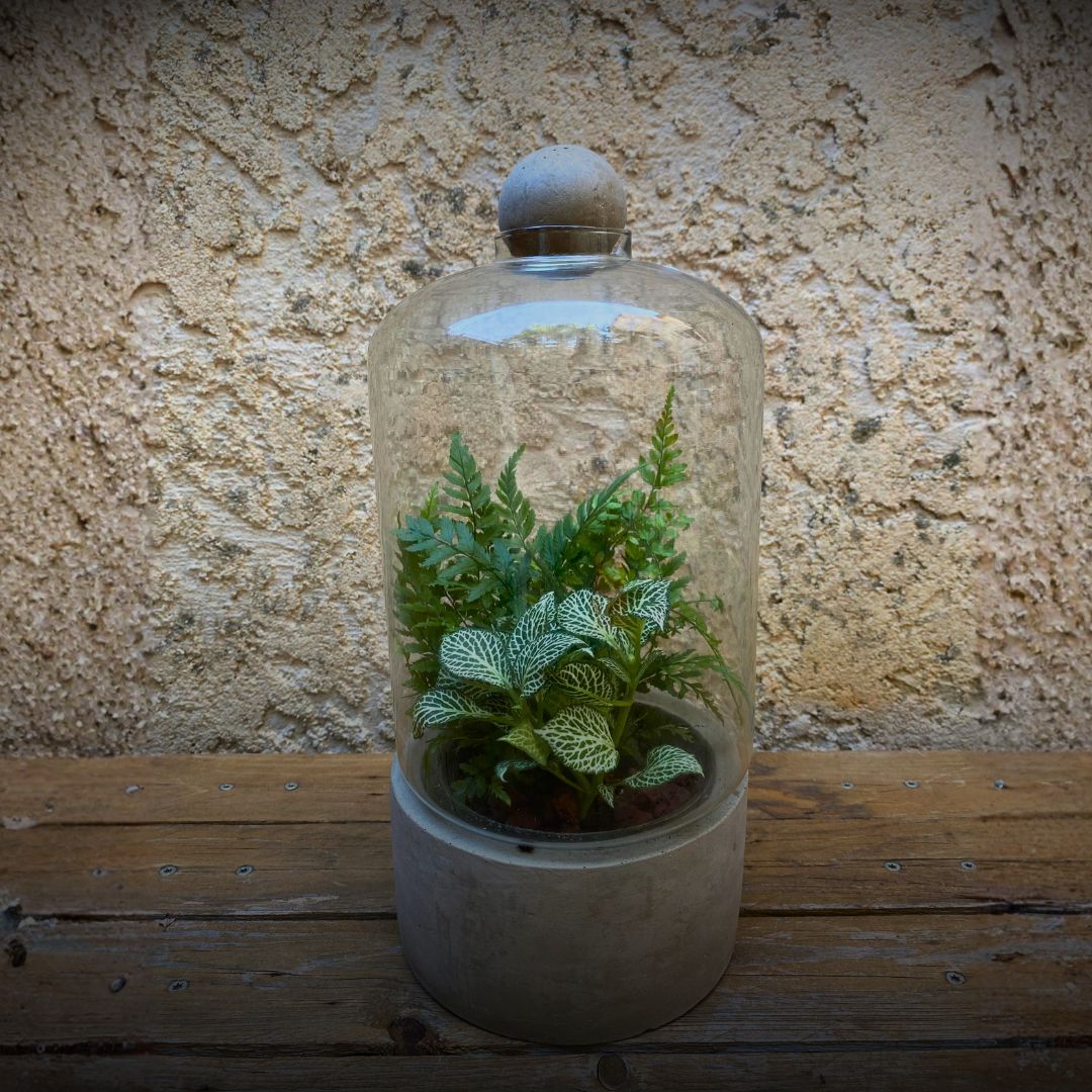 Terrarium cloche