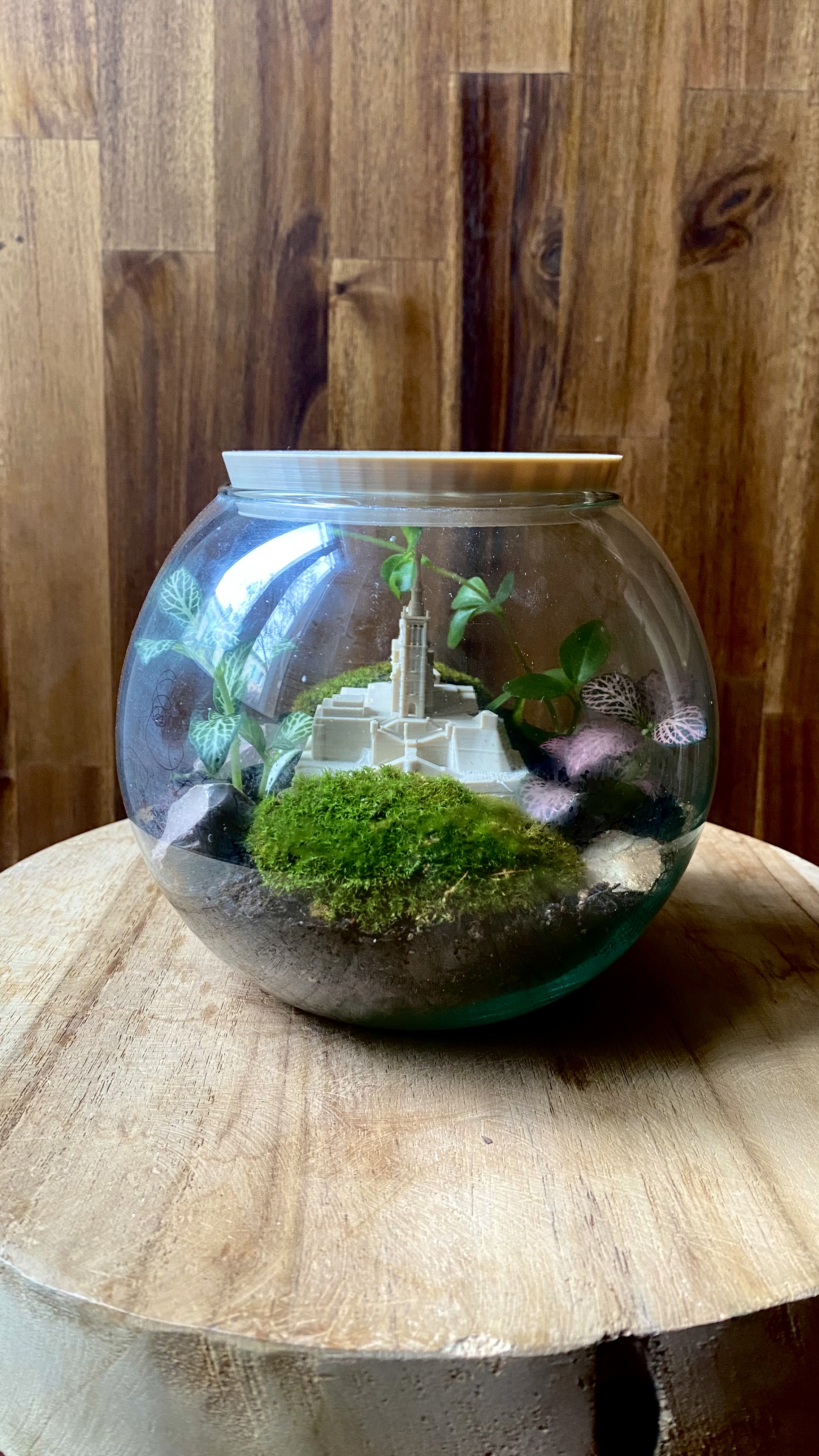 Terrarium Notre Dame de la Garde